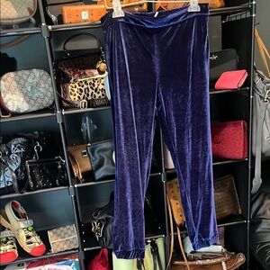 Free People Deep Blue Velvet Trousers Jogger